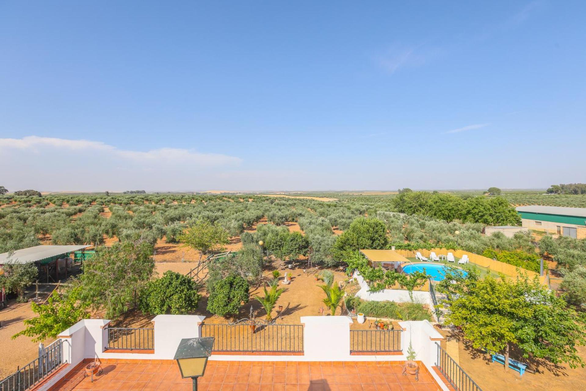 Casa Rural Los Miradores Марчена Екстериор снимка