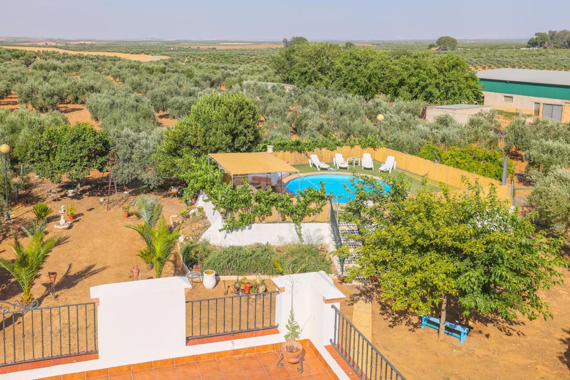 Casa Rural Los Miradores Марчена Екстериор снимка